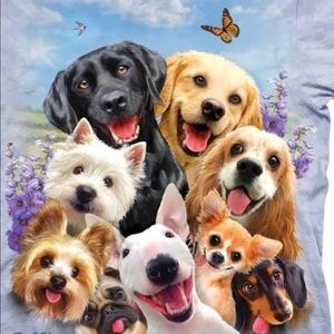 Meet your Posher, Noreen